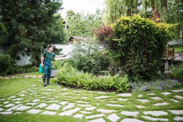 Professional Pest Control in Trion, GA