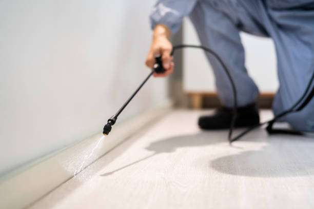 Flea Control Services in Trion, GA