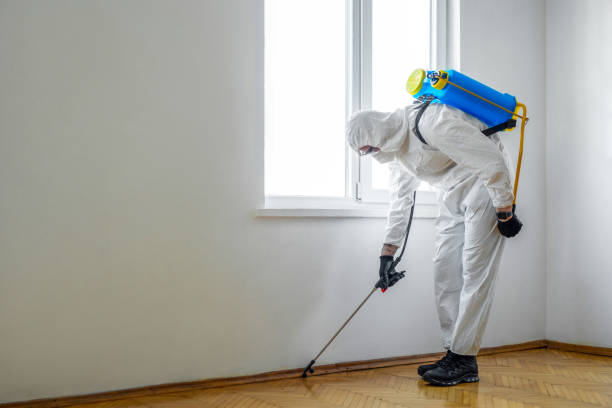 Best Pest Removal Services  in Trion, GA