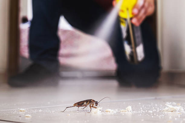 Best Pest Prevention Services  in Trion, GA