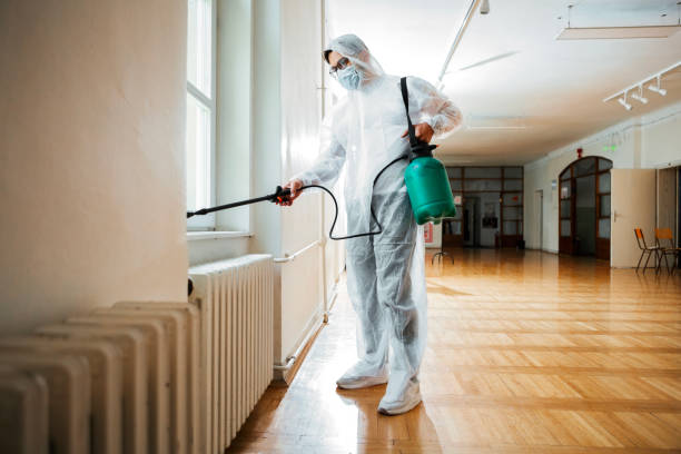 Best Mosquito Control Services  in Trion, GA