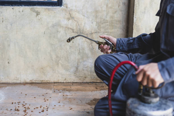 Professional Pest Control in Trion, GA